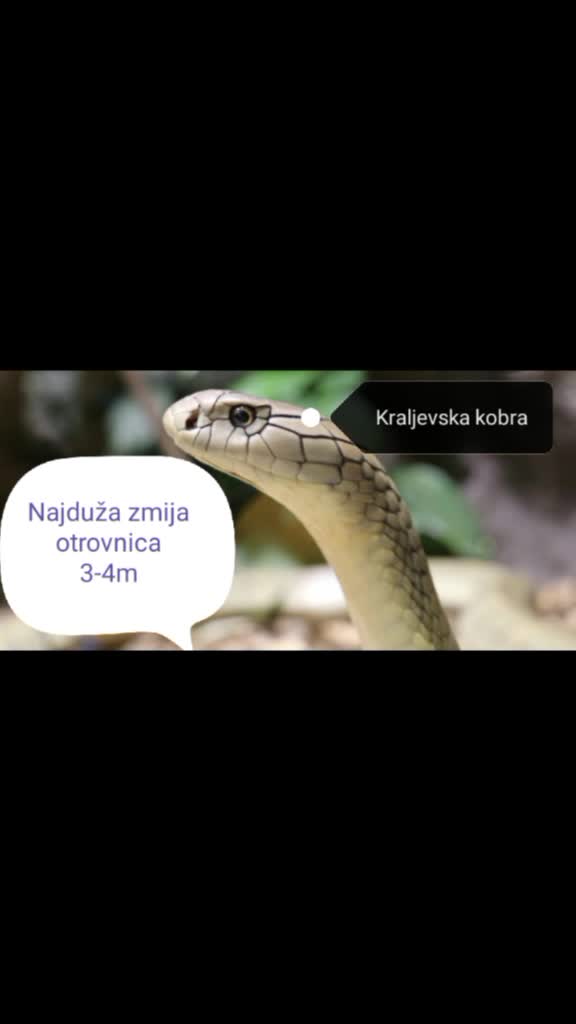 @_