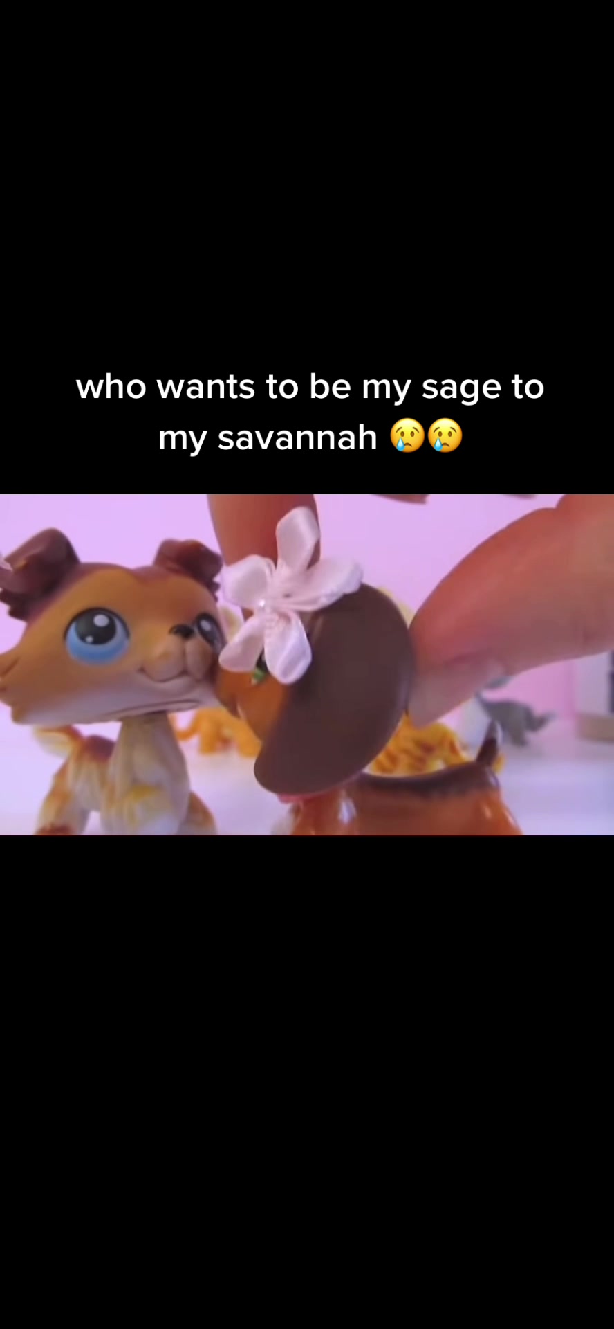 @lps fanpage