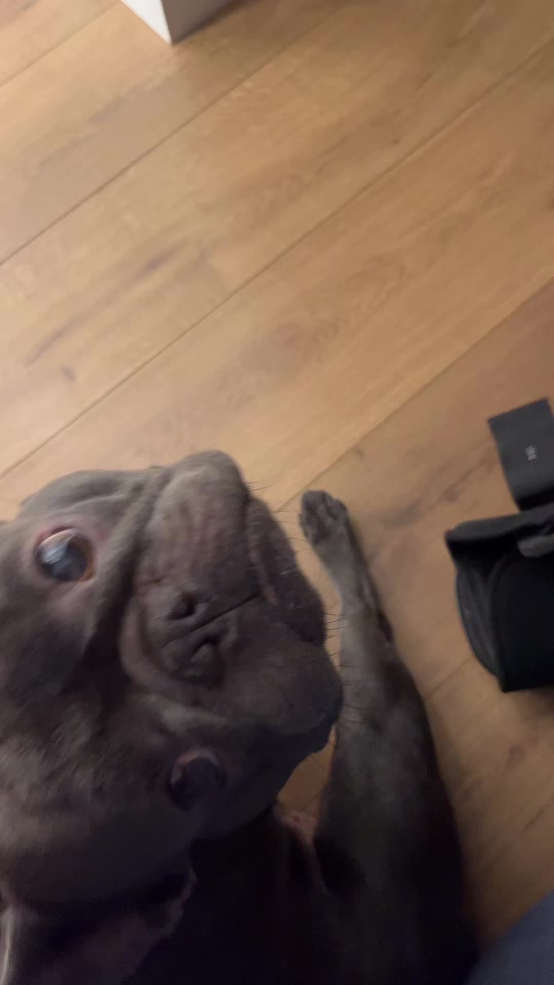 @Shaq Diesel