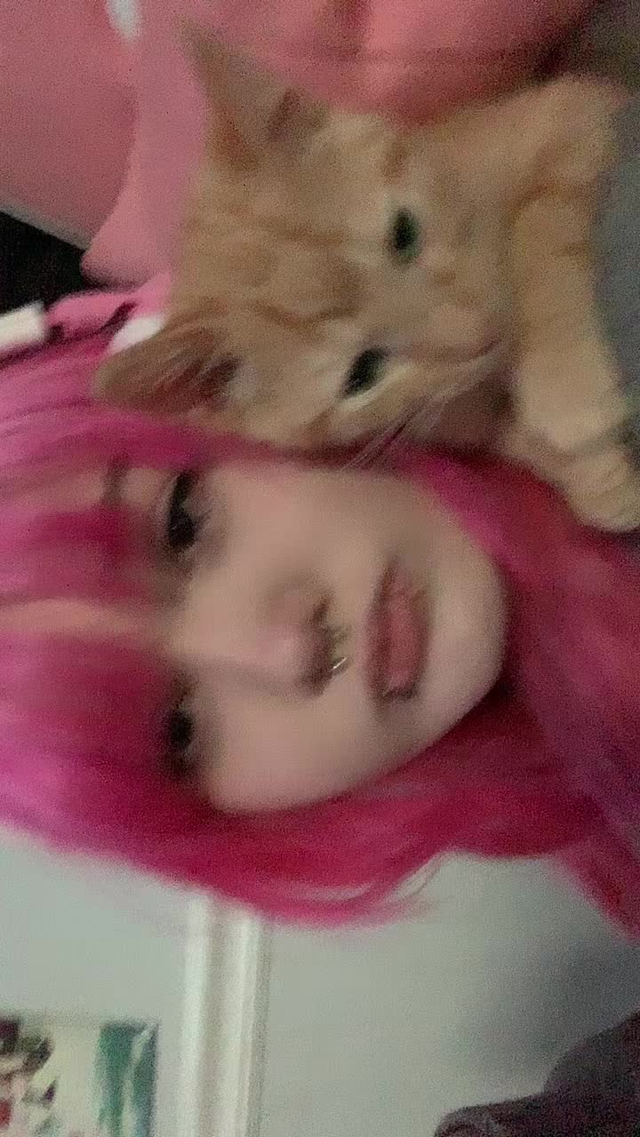 @sugar.sku11