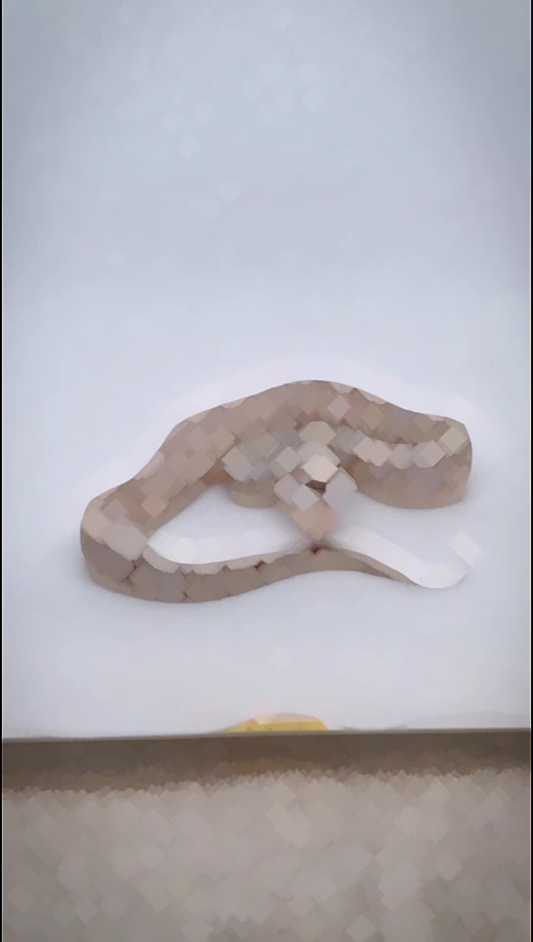 @⛓️🐍Syntr(CRR)🐍⛓️