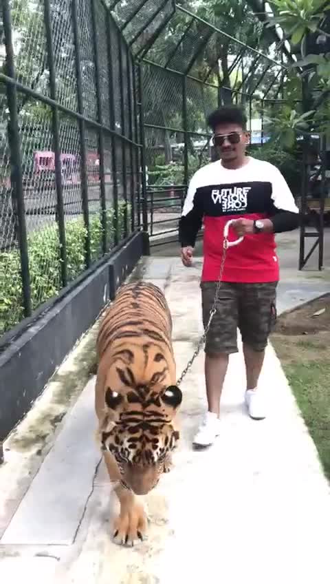 @Kiran Chandra
