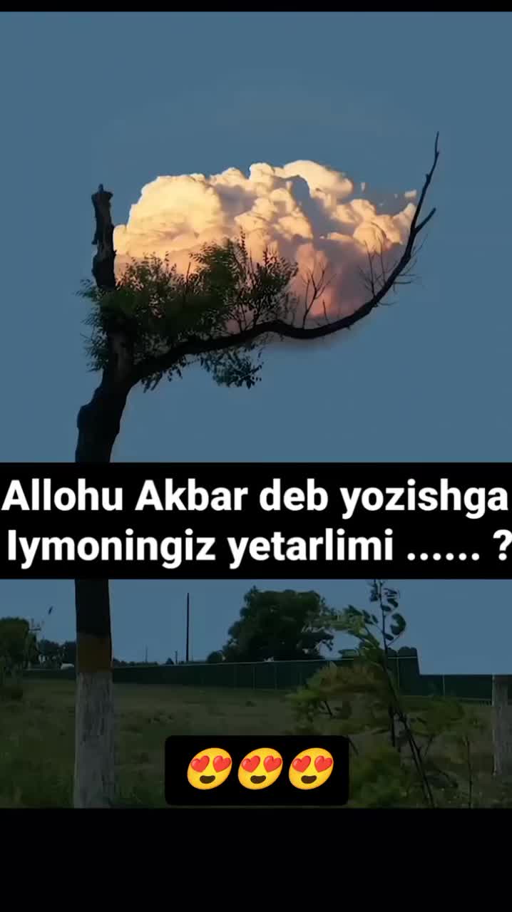@jam1k_17