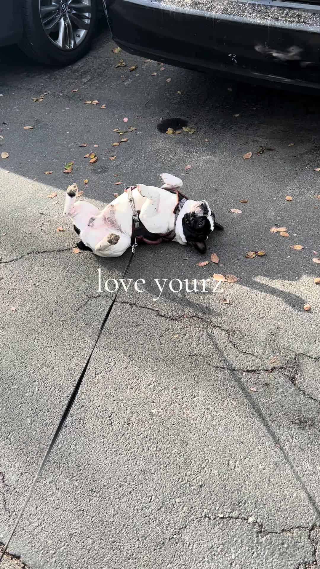 @tori