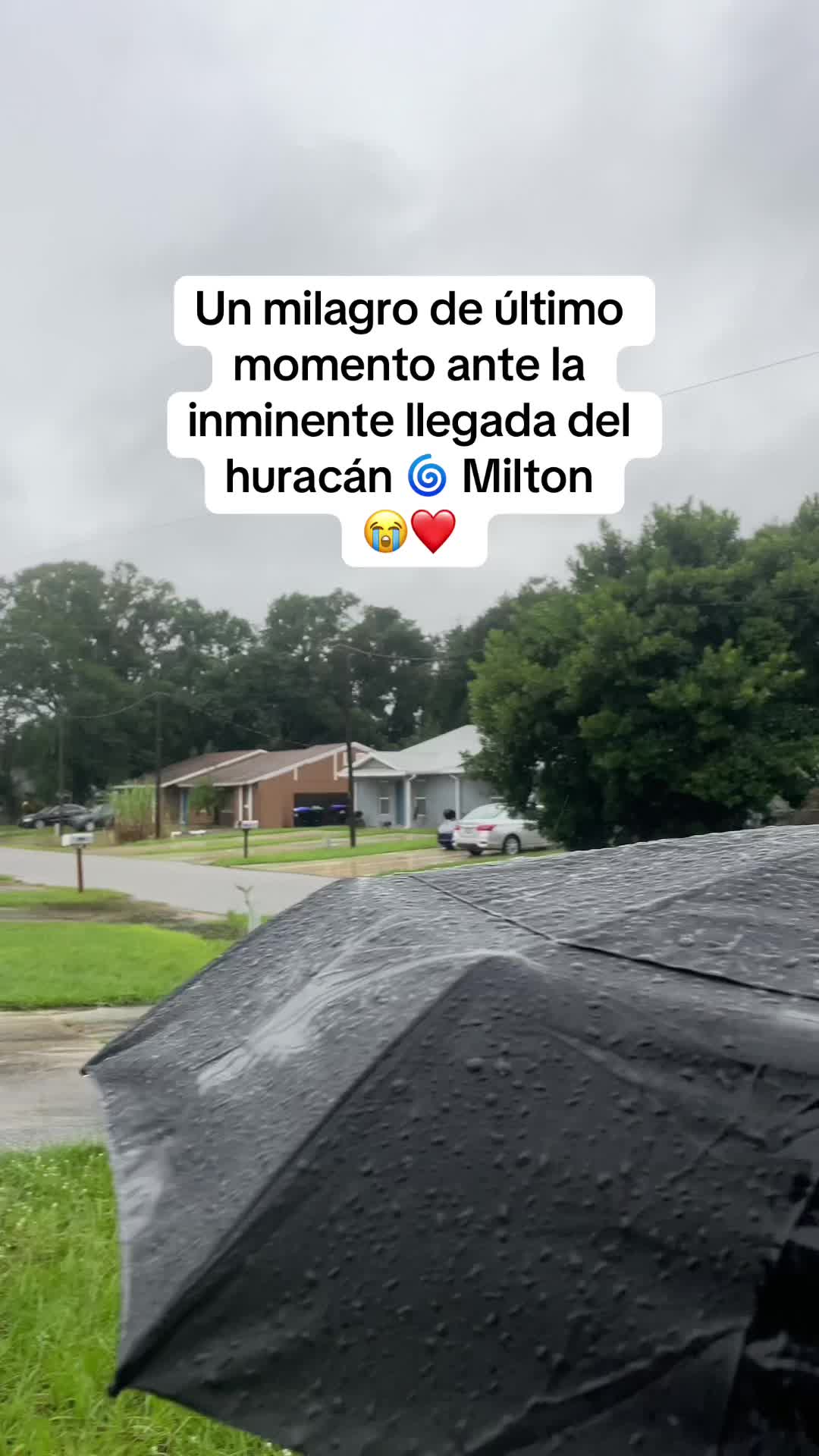 @Adriana Abraham
