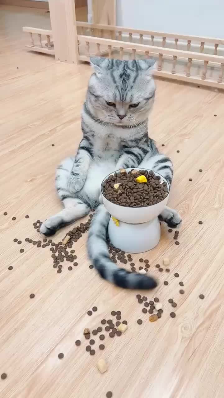 @Pets Kingdom Online