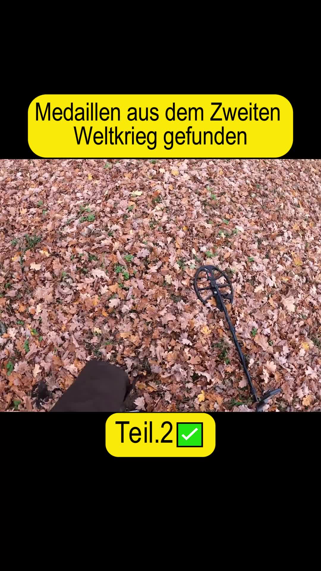 @Gebrüder Lange.ger