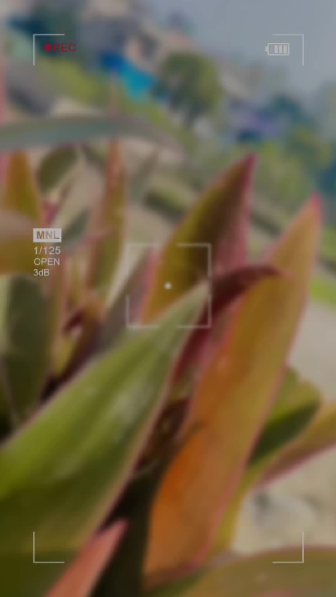 @S_A_R_A❤️🧿