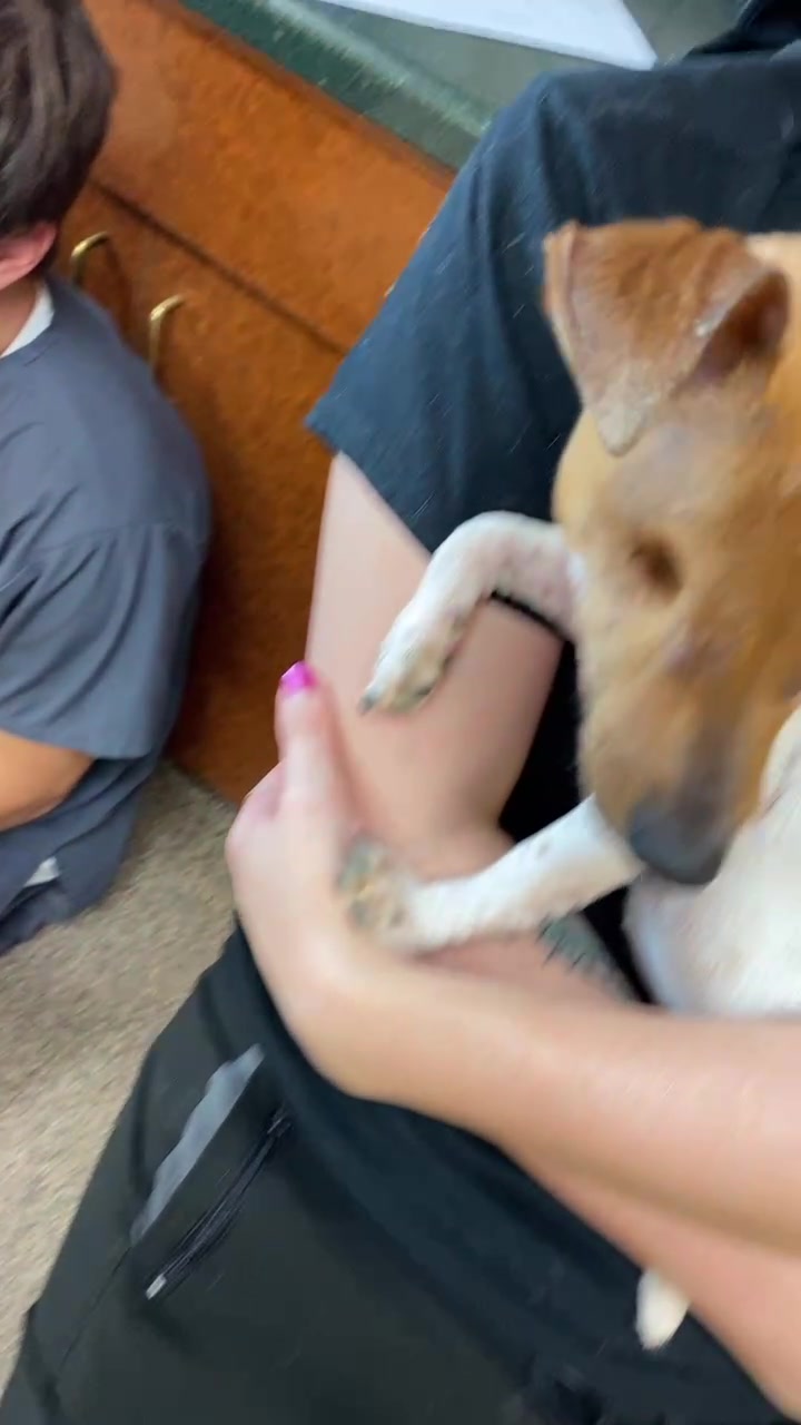 @Pawlitical Singer