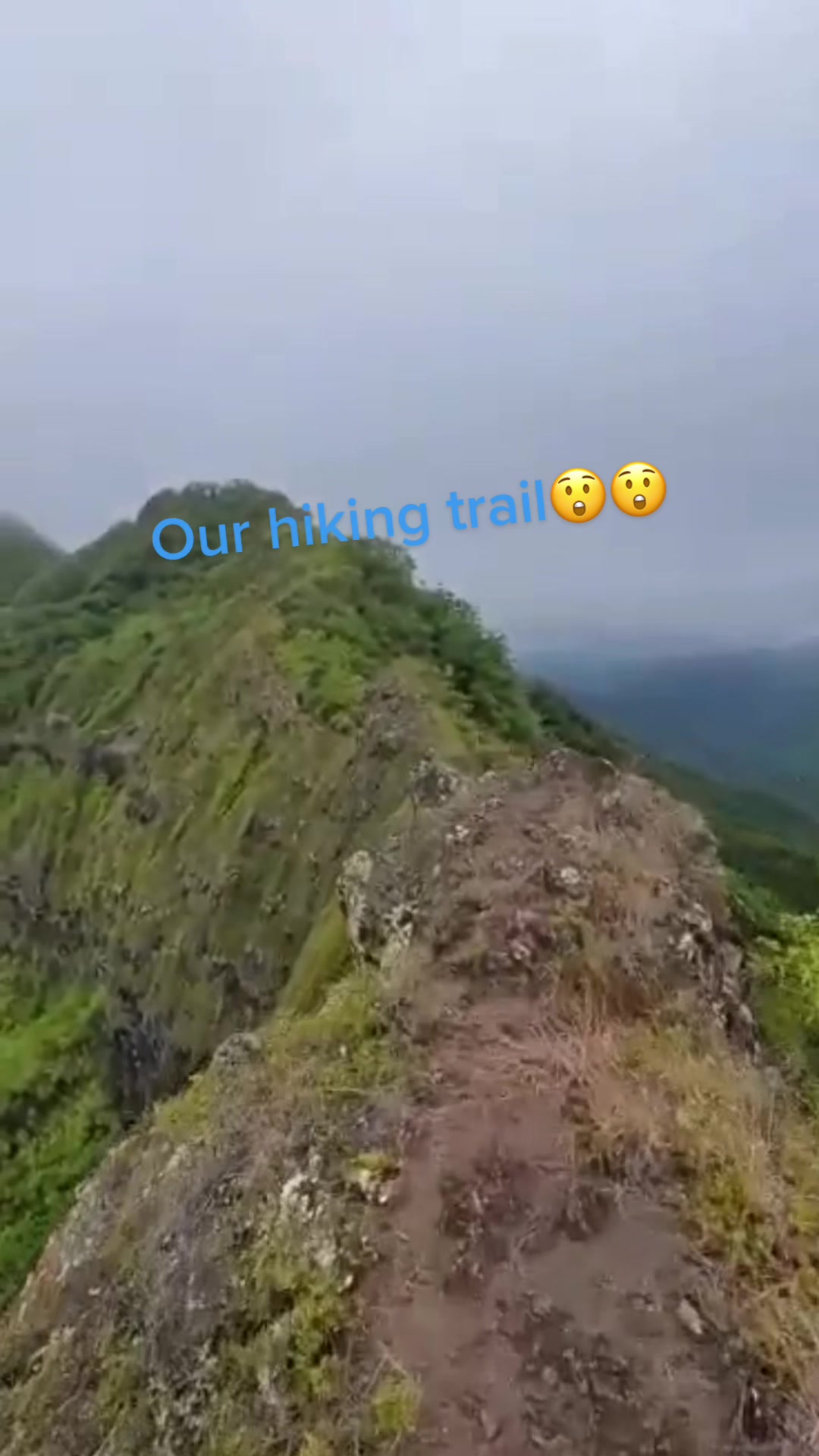 @Puja