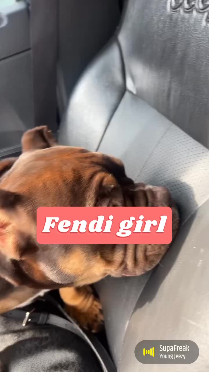 @pondsfreddy
