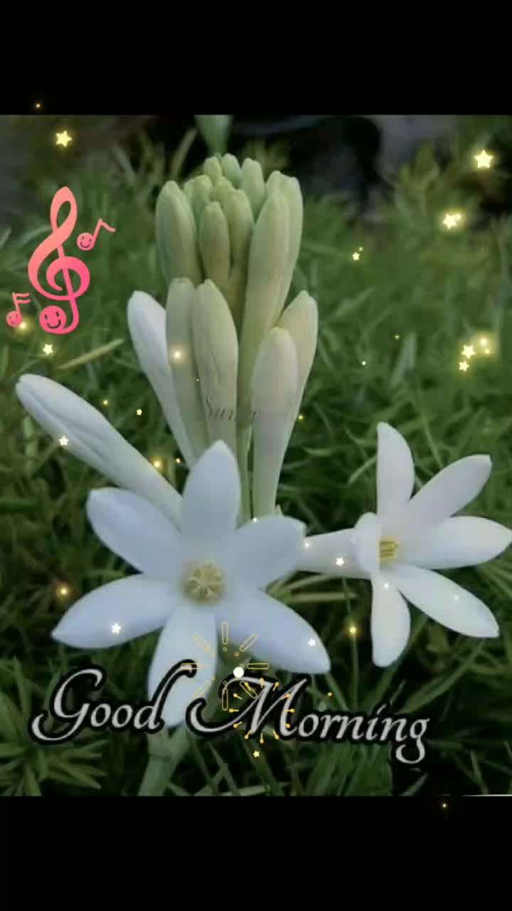 @eknathshinde
