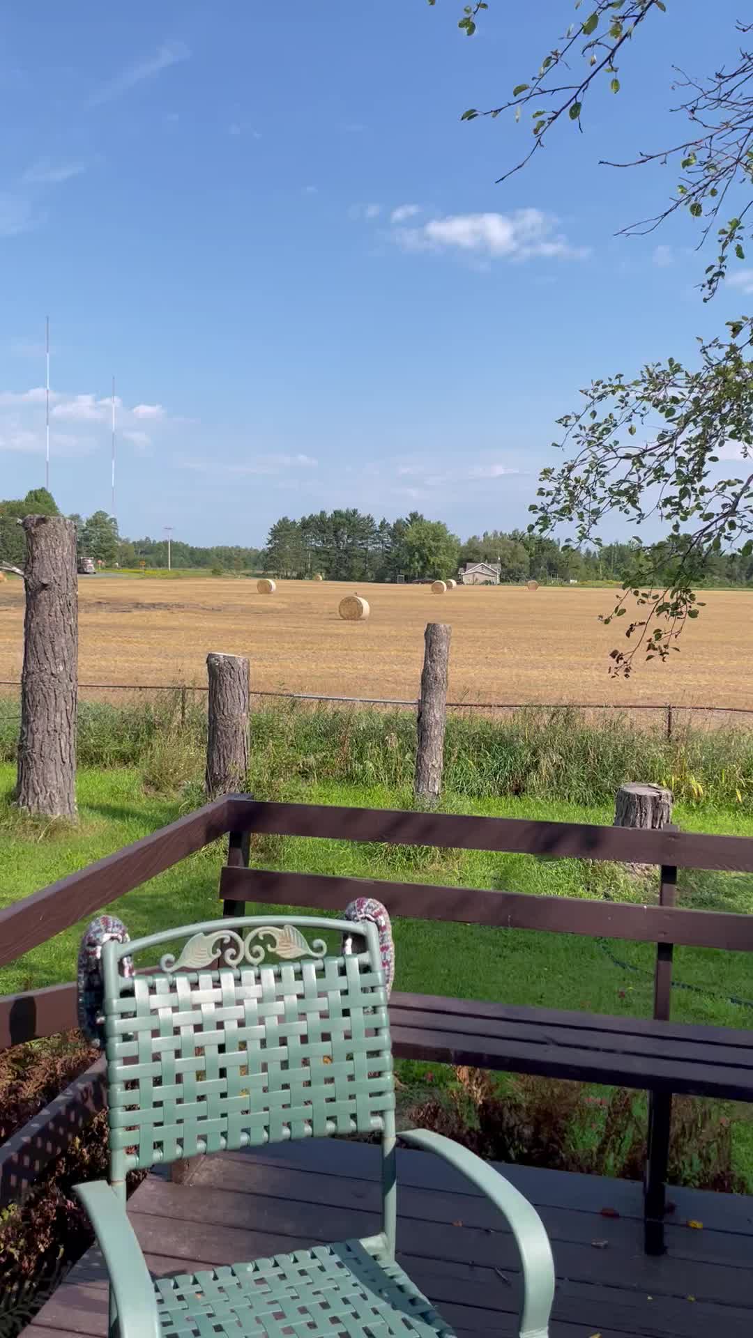 @lorilynnluedtke