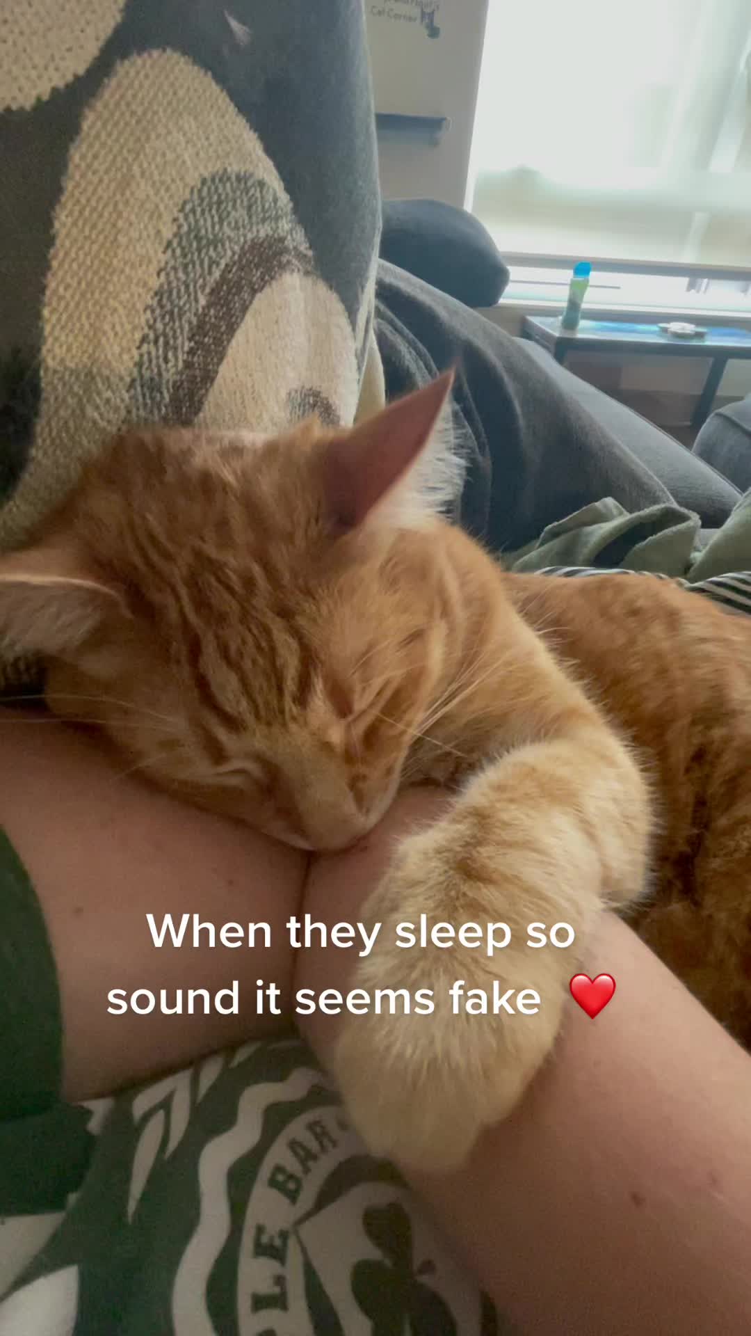 @Raja and Floof