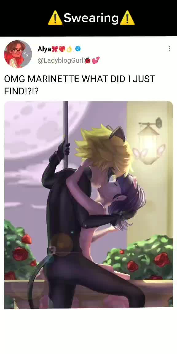 @Miraculous🐞🐈⬛