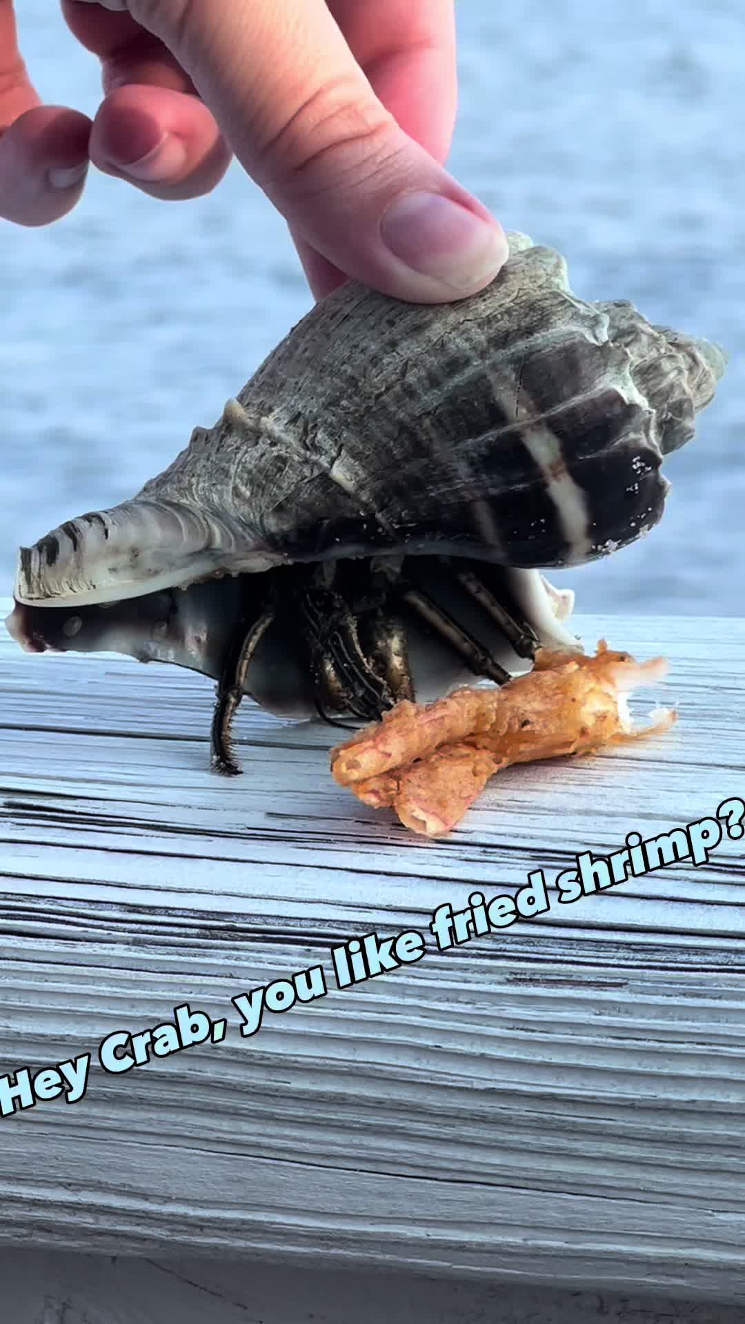 @Dan