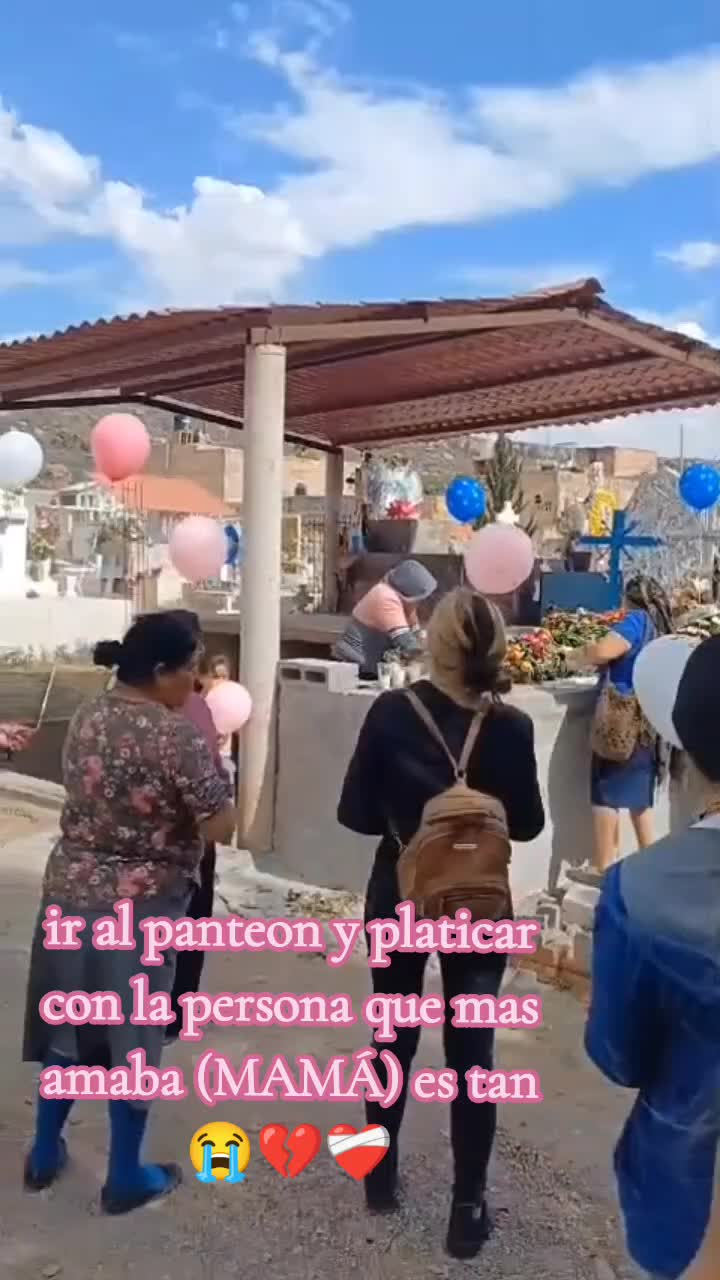 @Dbmts