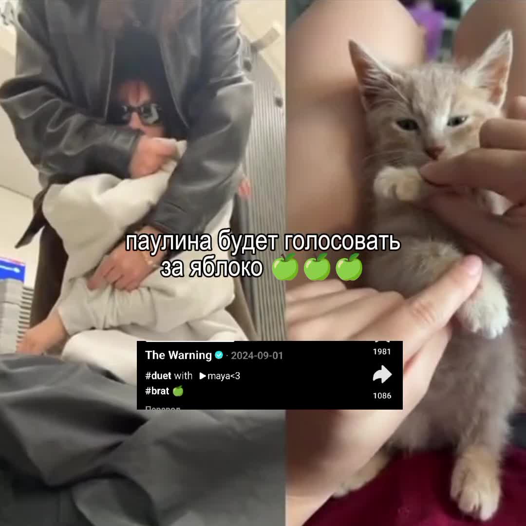 @мария мексика²³