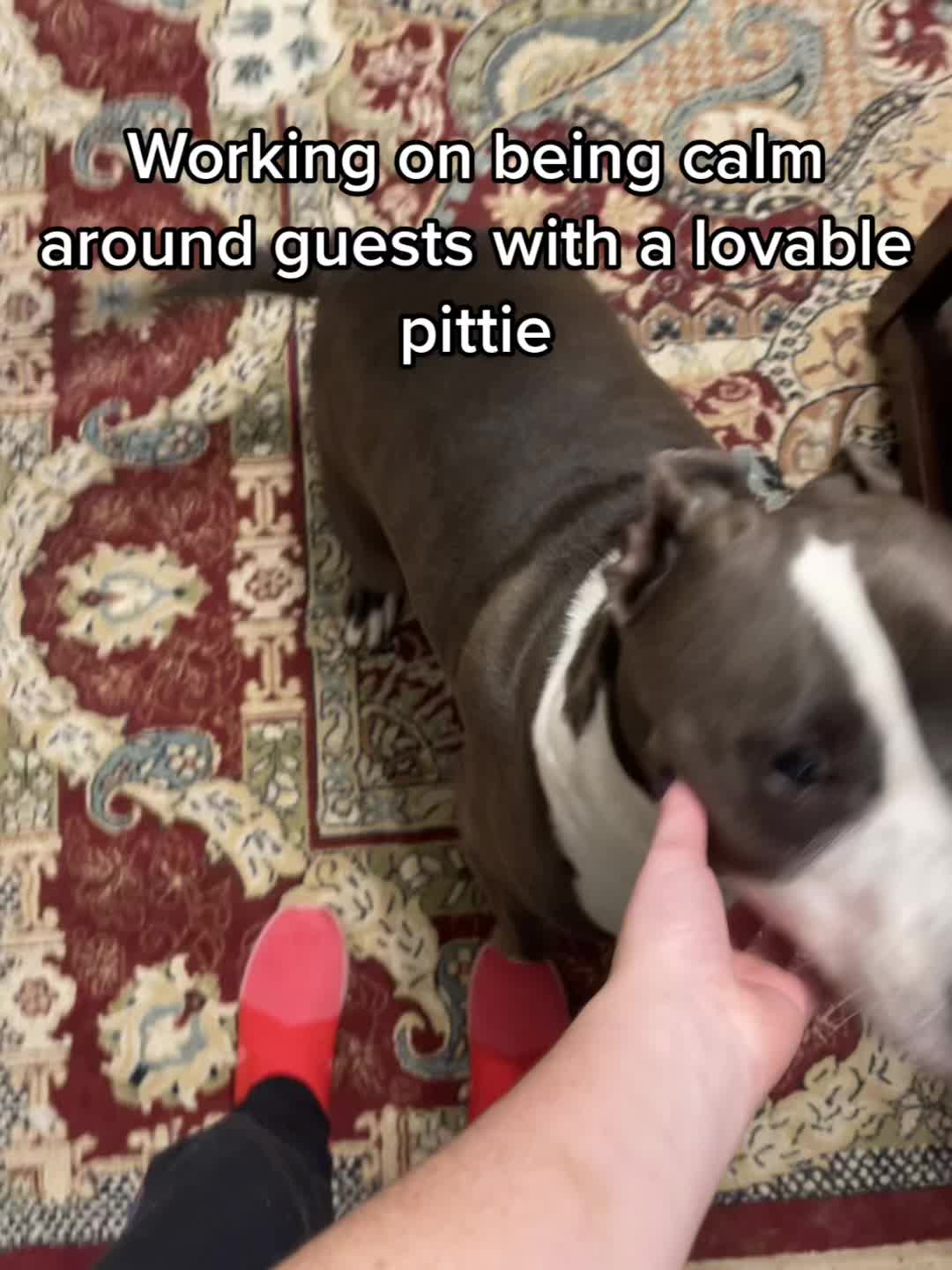 @sentientsparky