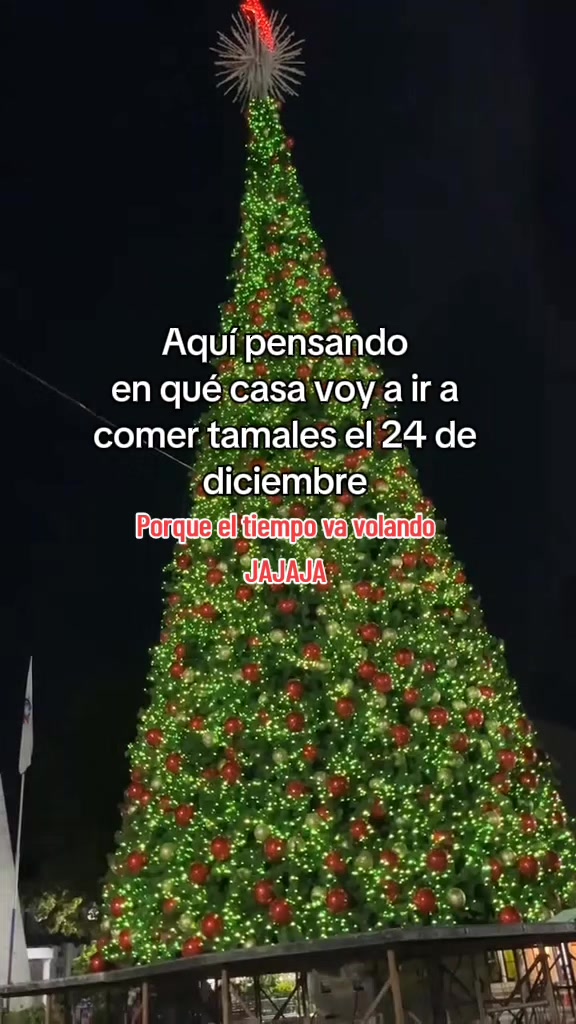 @NAVIDAD❤️🩹 2,026 🎅🏻🎅🏻