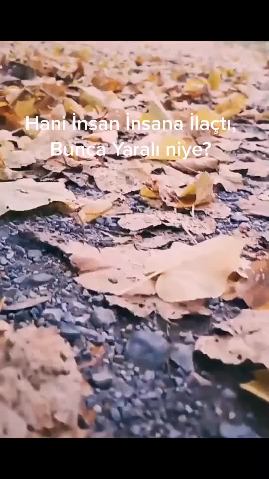 @Pervin_35