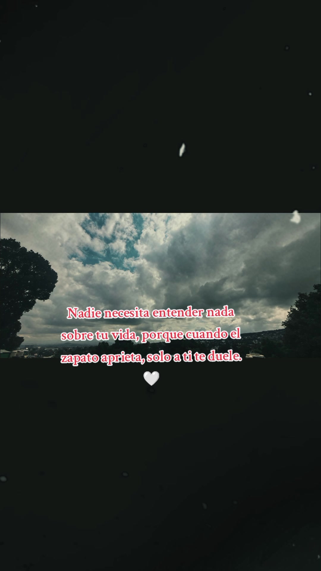 @paubonii