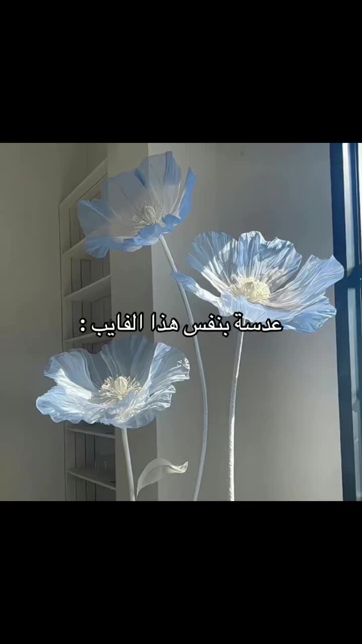 @Bright.lenses