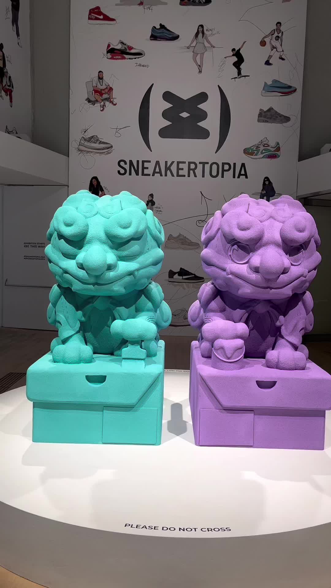@Maia Jin