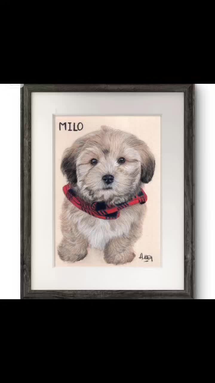 @Paw Prints Pet Art