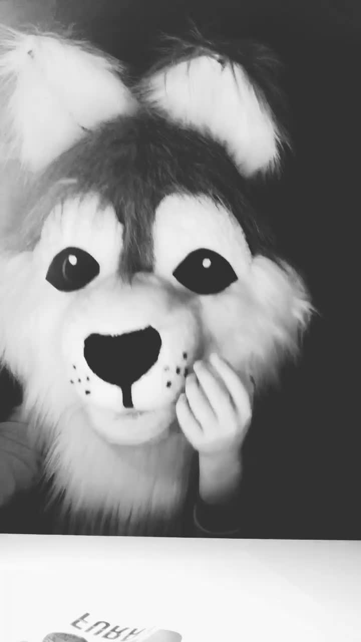 @fursuitwolf111