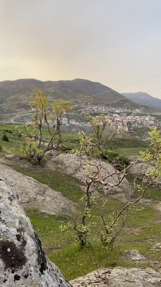 @Mahfuz Toprak