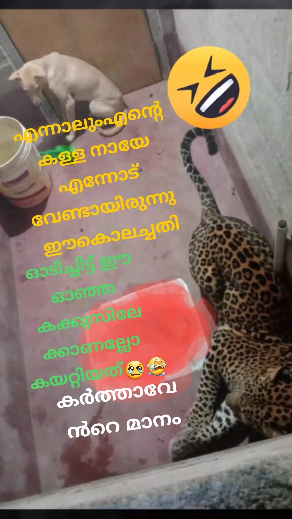 @Ali Kottakkal
