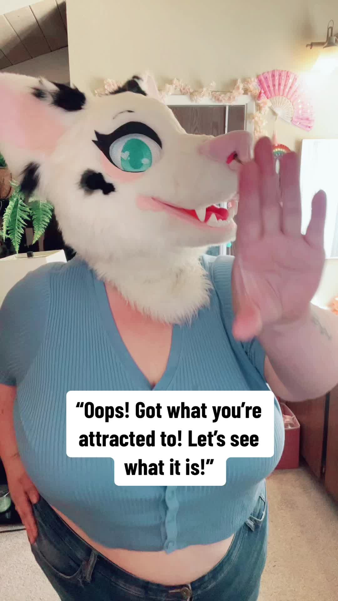 @Maisie ✨ Corgi VTuber