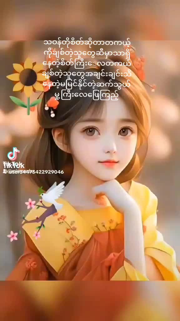 @minmardar