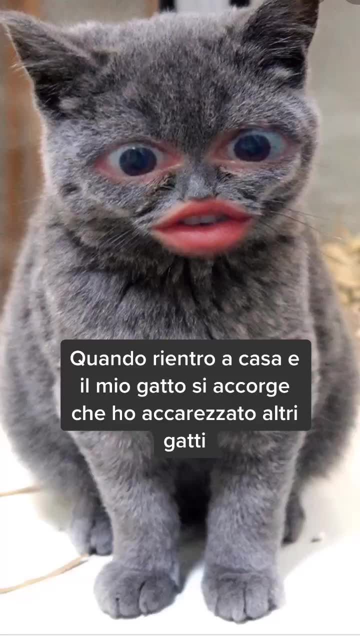 @Anastasia Cabras