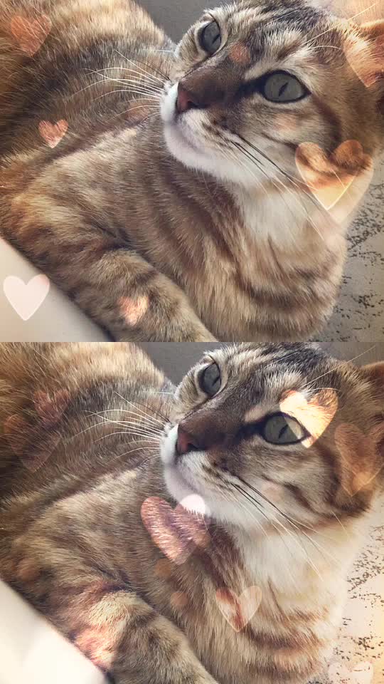 @öyukyunundonu