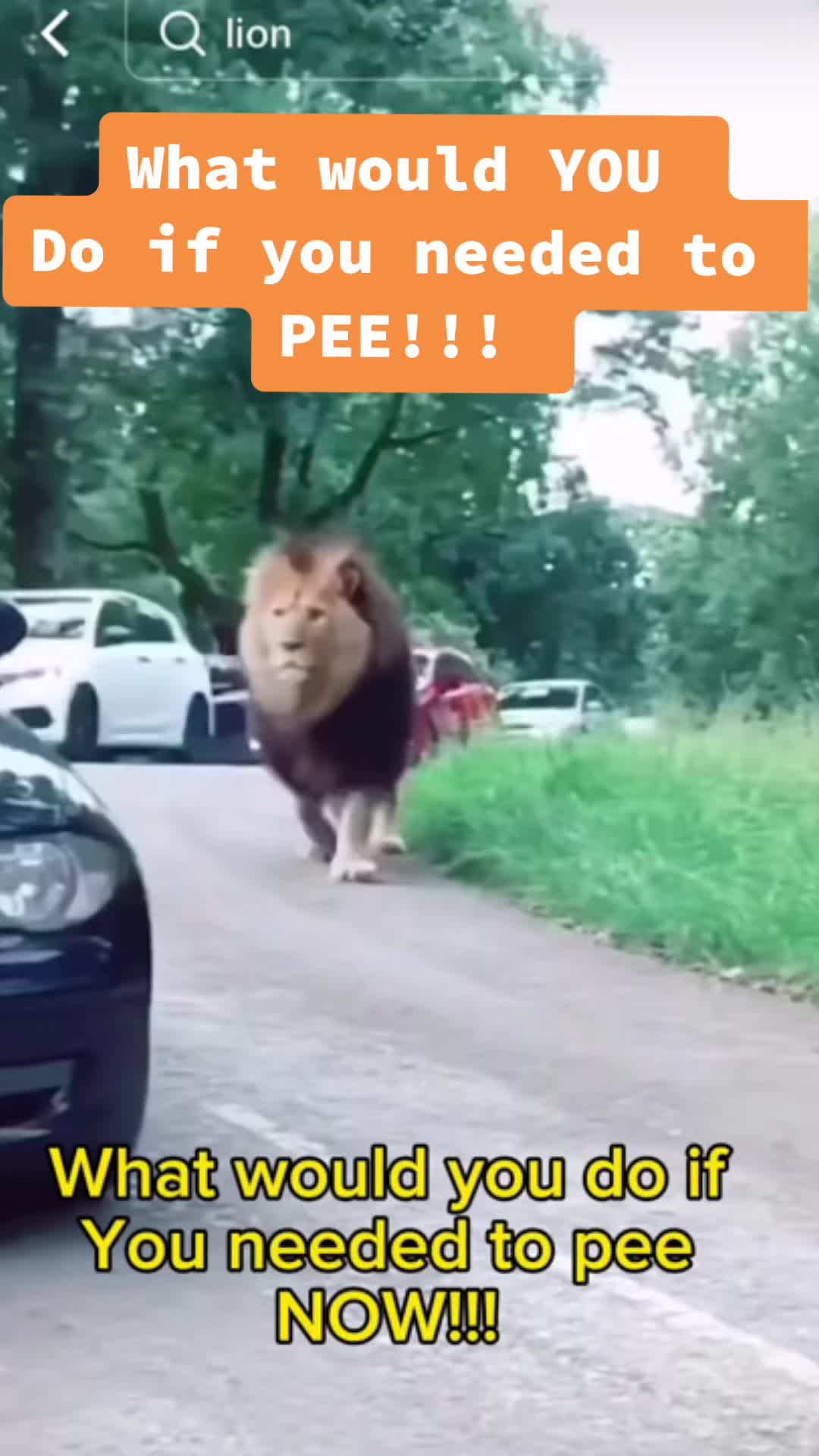 @PeebagBoy