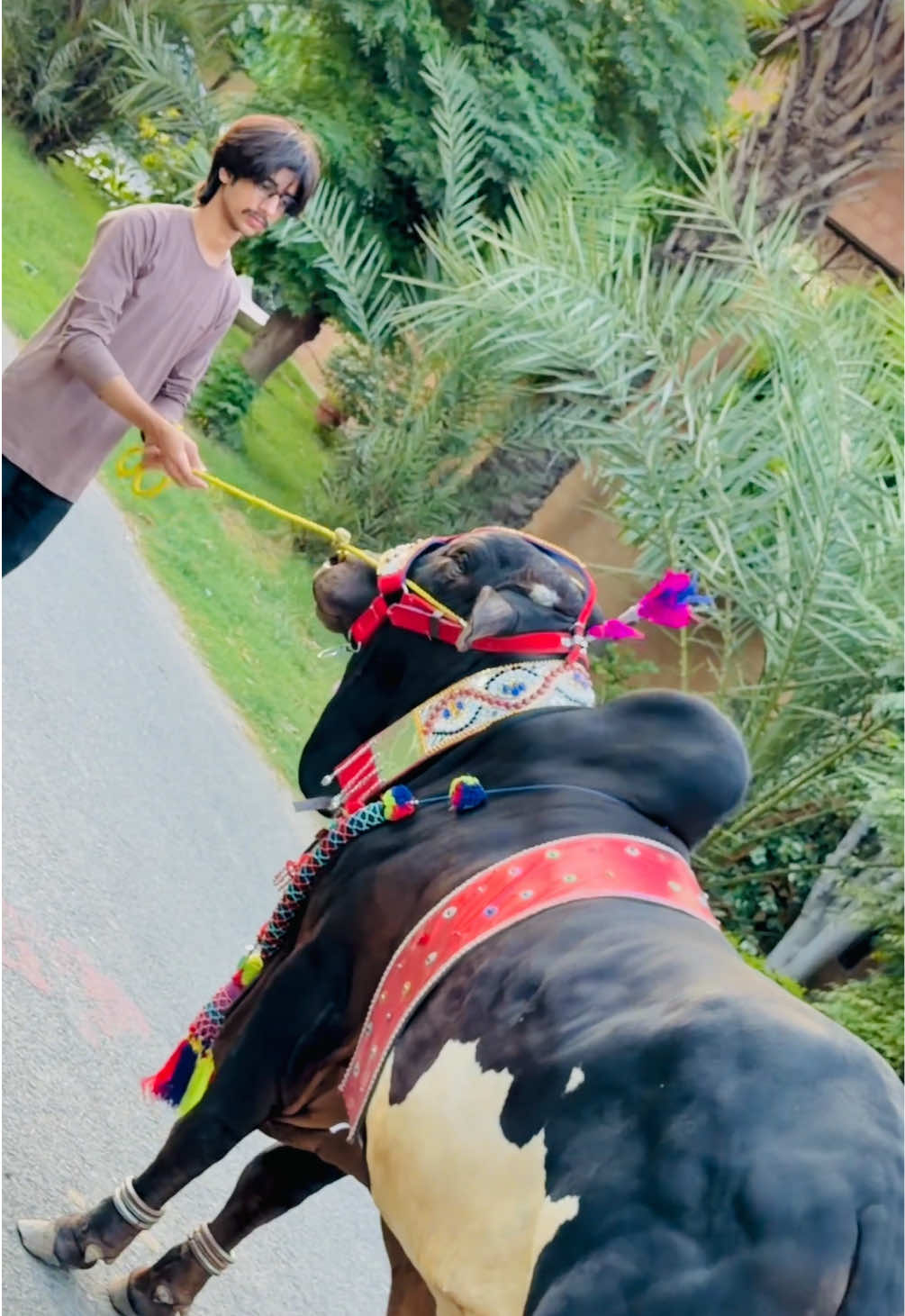 @𝓐𝓡𝓢 🚩