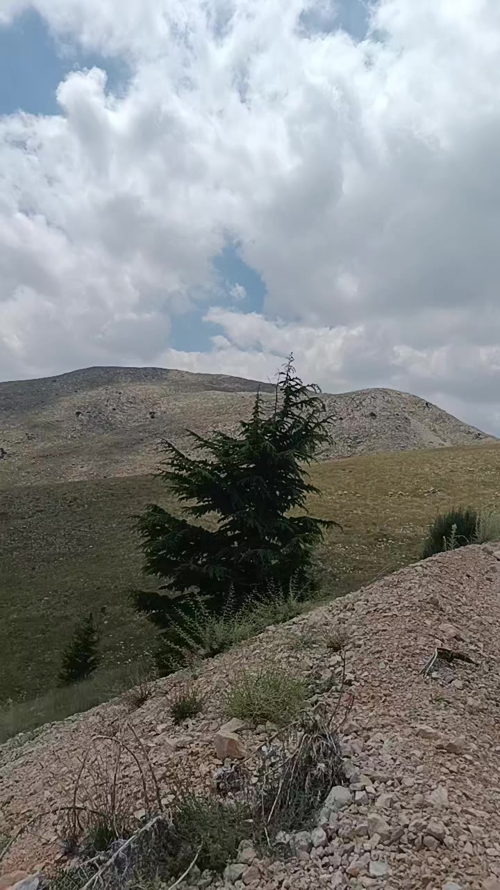@Nazif Geriş