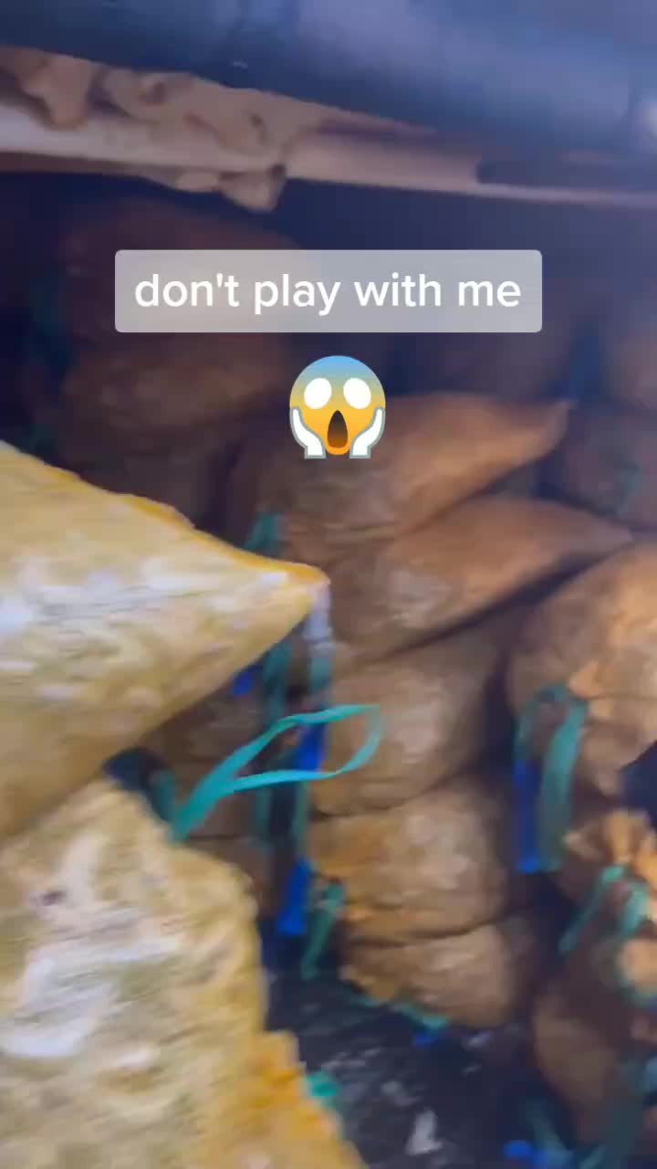 @srchiefalot87