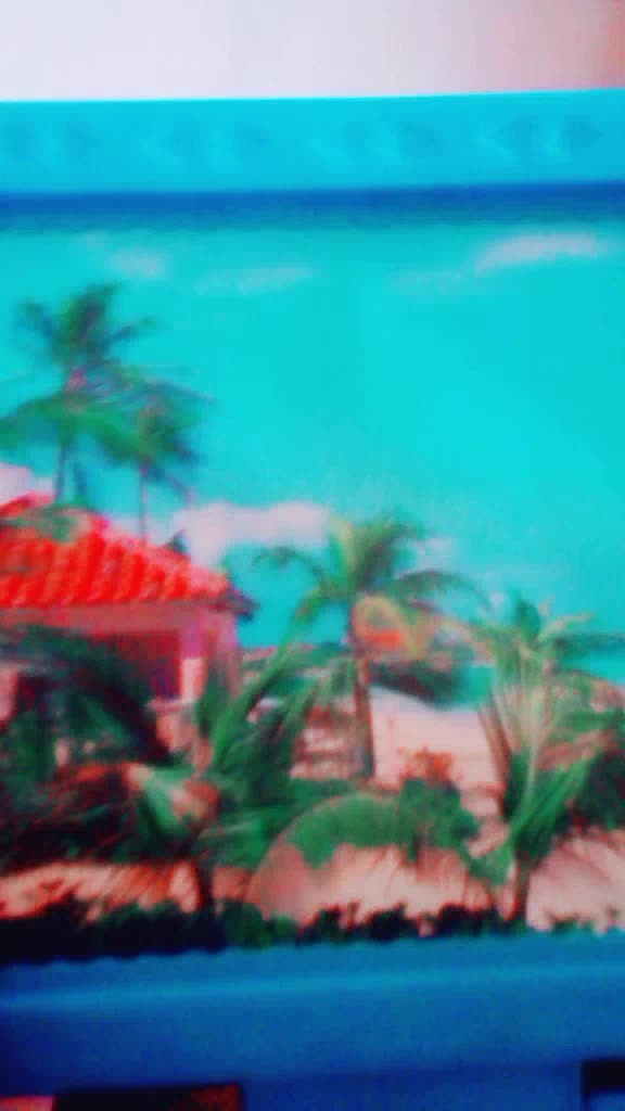 @Hamid Jutt3593