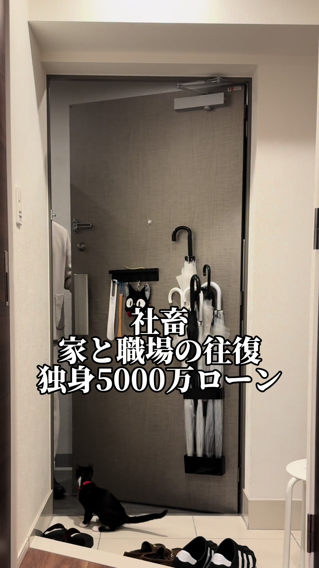 @手豆🐈&zwj;⬛🐈&zwj;⬛🐶🐶🌱🧑🏻&zwj;💼