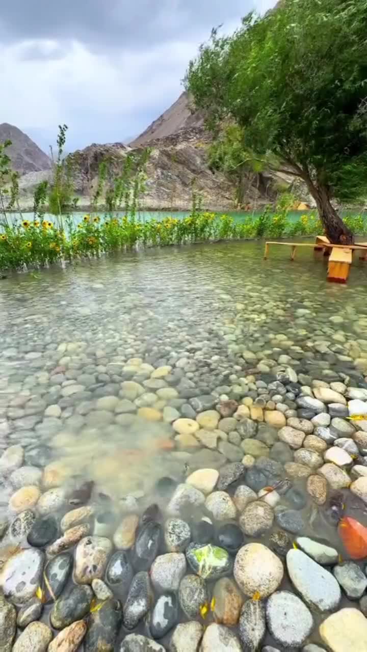 @Mustafa 3449