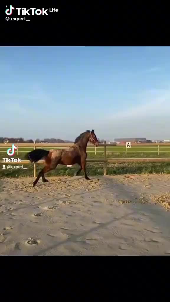 @Антон