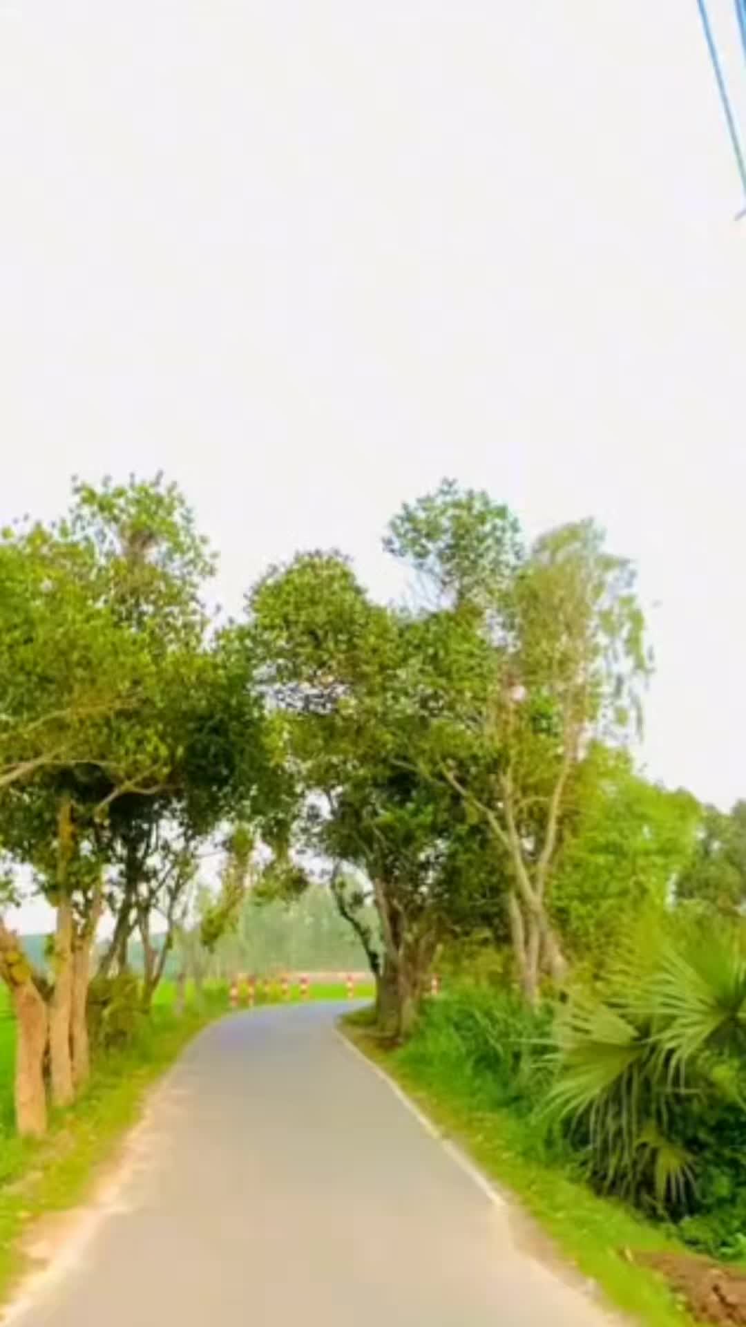 @Kawsar Khan