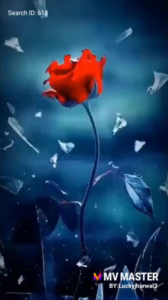 @Pawan Meena8795