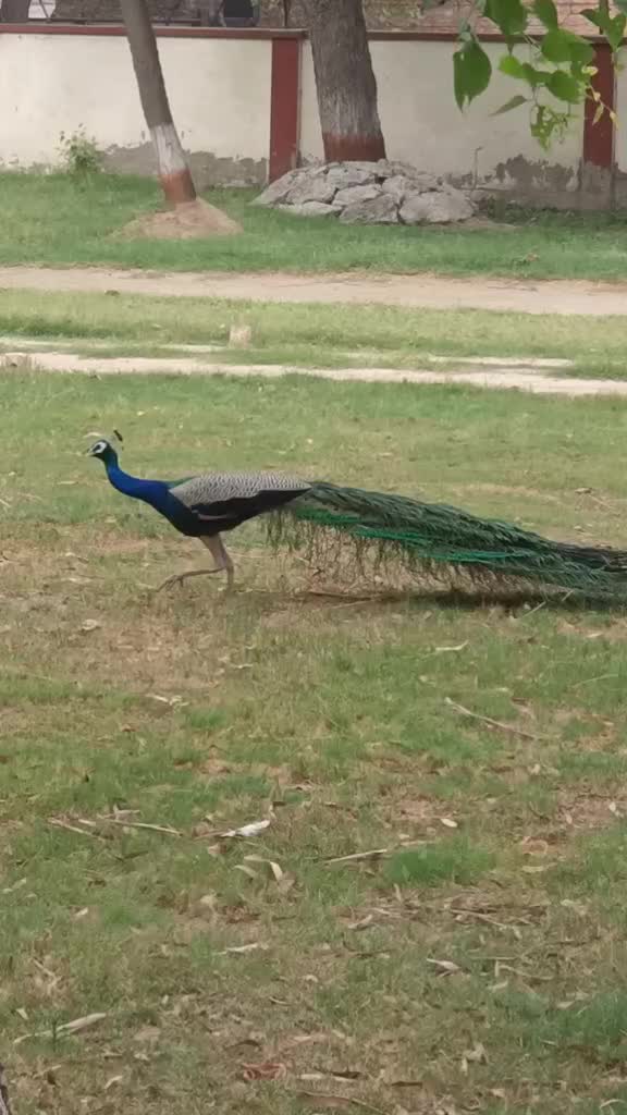 @ସନ୍ତୋଷ