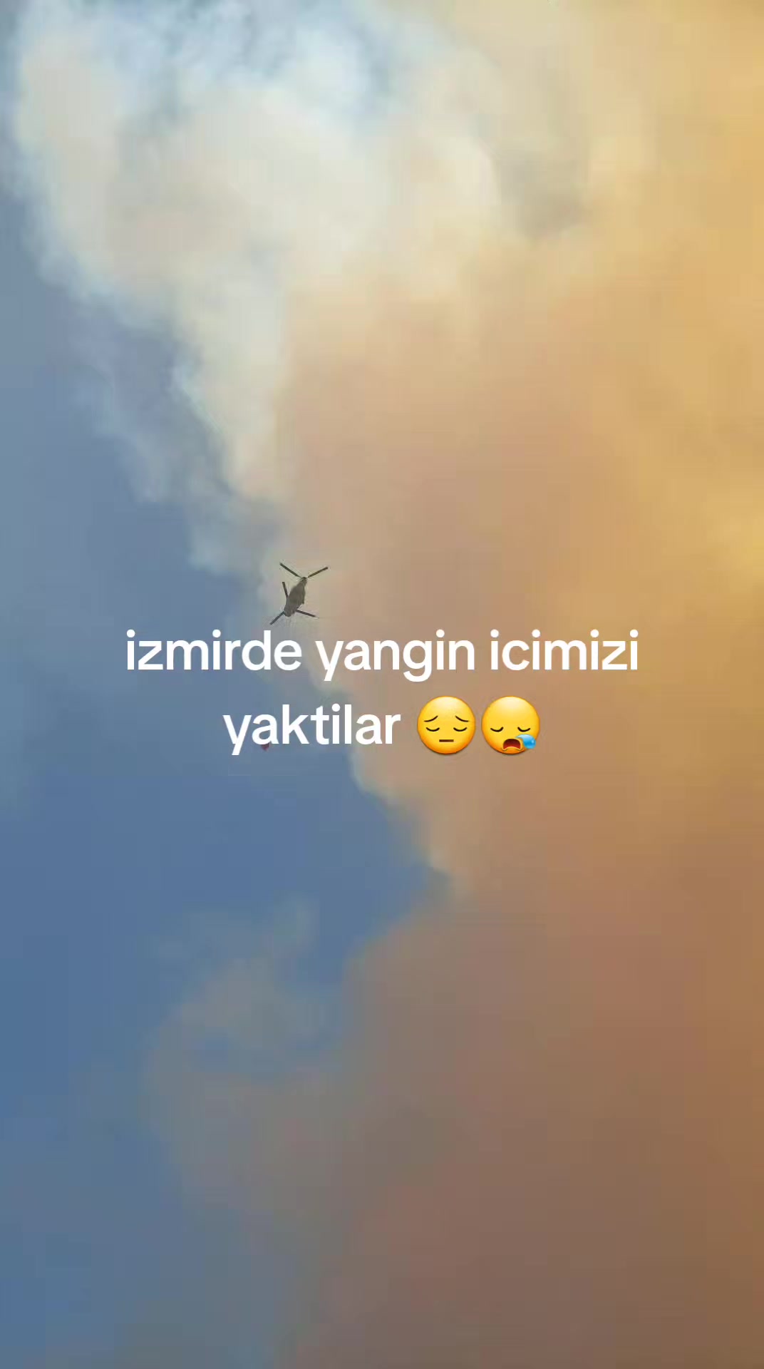 @💫Delal💫