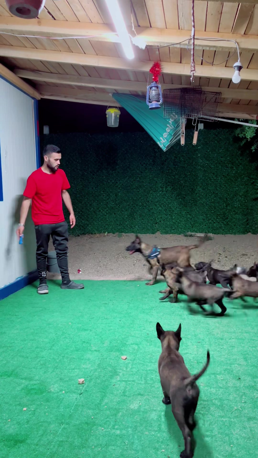 @🐺HOUSE OF EFEBEY UŞAK🐺