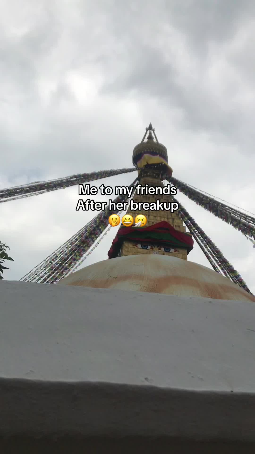 @🐷